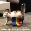 Тюленьчик ван лав