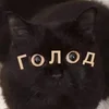 Грызу полено