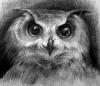 Owlw00d
