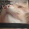 Евдокия Маврина