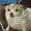 3407