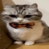 Ooopsy