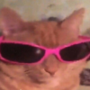 Waydimf