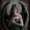 Aries_Lion_Fisher