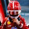 lecleris