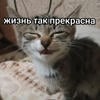 17_signs_ofmurder