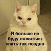 _Тетя Плесень_