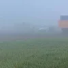 Скука страшная