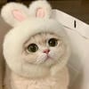 Cutenessoverload