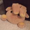 Leenari