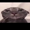 Alexa_Kerrou