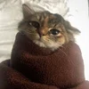 Chernaya_coshka