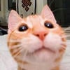 Wee_tz__