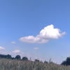 ПоТеРоМаНшА