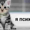 Та самая которая везде