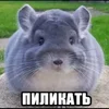 Шуша8