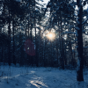 Sunny_people