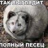 Leshiy8000