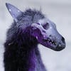 DjPonVinyl