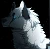 Wolf_Light