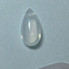 isolatedmoth