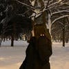 чайок невская