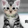 оффении