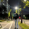 Поле из белых ромашек