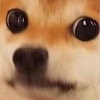 Koshii