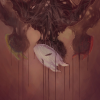 The Cunning Fox