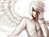 Shugo Tenshi