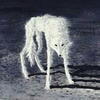 Хотэру - чан