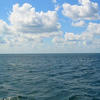 Marinell