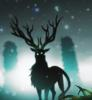 venado