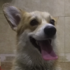 MoonyJulian