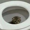 керамический утюг