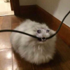 Ъуъ и точка