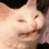 strwbrry