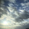 Dark_Terner
