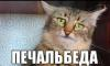Meryann