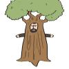 oaken tree