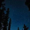 Няфка-Няшная
