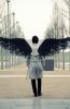 AngeLofTheLorD-WLS-