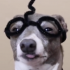 Shvabra-