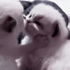 parodies_net