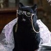 Salem_