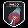 Evil_Falco