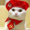 Дедов