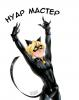 evencat