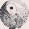 ANNA-bird